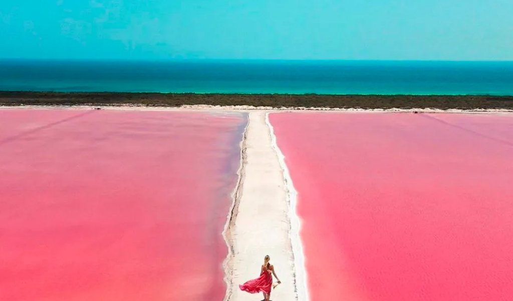 Experiencia Rio Lagartos, Coloradas y Cenote desde Cancun