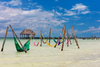 Holbox: La vida es Bella en Holbox