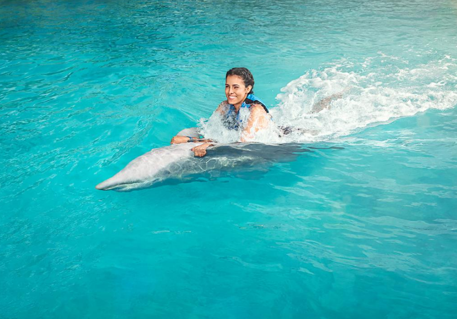 Nado Aventura con Delfines en Isla Mujeres