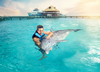 Nado Aventura con Delfines en Isla Mujeres