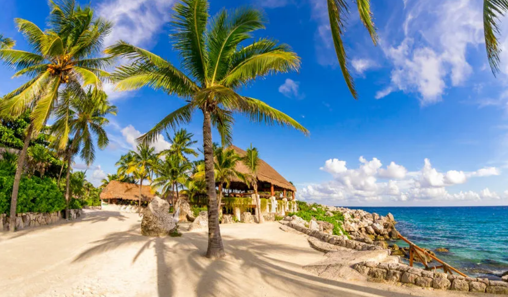 Catamarán a Isla Mujeres con barra libre y snorkel