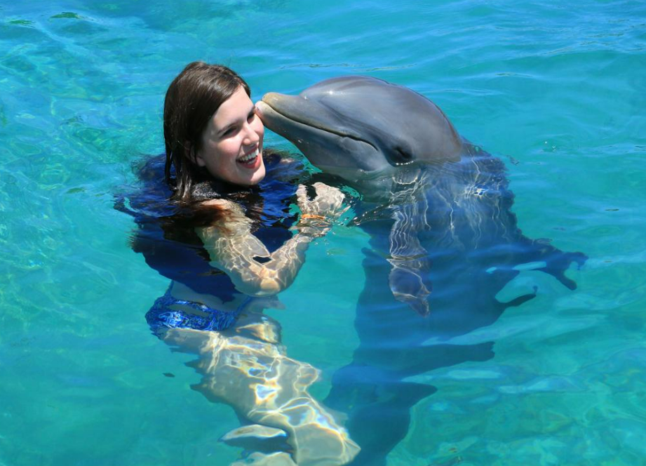 Nado Aventura con Delfines en Isla Mujeres