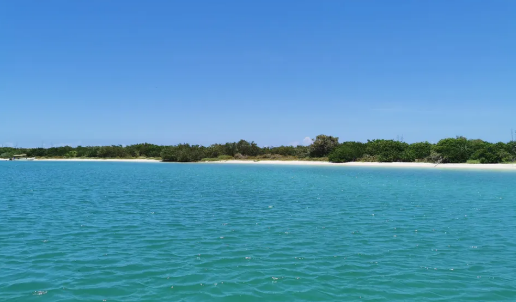 Experiencia Rio Lagartos, Coloradas y Cenote desde Cancun