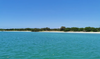 Experiencia Rio Lagartos, Coloradas y Cenote desde Cancun