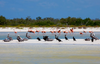 Holbox: La vida es Bella en Holbox