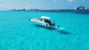 Sea Ray OASIS 38' Yacht