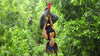 Ziplines and Cenote Swimming